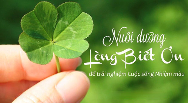 Lòng Biết Ơn Giúp Ta Trở Nên Hạnh Phúc Và Thành Công 