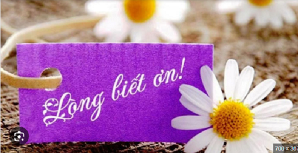 Hướng Dẫn Cách Viết Lòng Biết Ơn Chạm Tới Tiềm Thức - Thực Hành Cùng CLB Chạm Tay Hóa Vàng