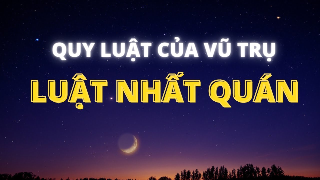 Quy Luật Vũ Trụ -  Luật Nhất Quán - Cách Mình Làm Một Việc Là Làm Mọi Việc 